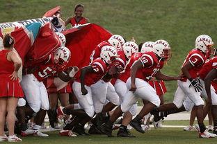 开云官网登录-青少年体育活动参与模式及影响因素分析，《青少年体育活动促进计划》  第2张