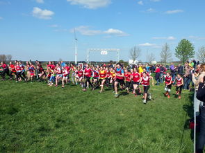 开运app入口-青少年体育运动社会支持系统研究，青少年体育运动社会支持系统研究现状  第1张