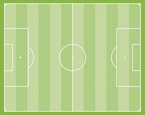 开云体育-青少年体育锻炼习惯养成与家庭环境作用研究，简述青少年期的体育健身要求