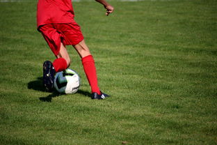 开云官网-基层足球项目评估体系尚未建立